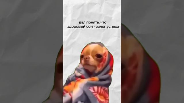 А чему вас научил политех?