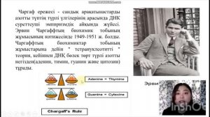 Мезельсон мен Сталь тәжірбиелері. Чаргафф ережесі. 10 сынып биология