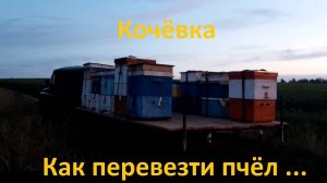 Кочёвка или как перевезти пчёл в ульях