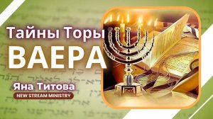 Недельный разбор Торы ВАЕРА. Яна Титова NSM