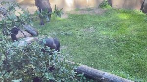 МОСКОВСКИЙ ЗООПАРК 2024😃👍🔥