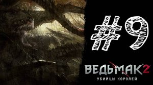 МОНСТР ИЗ ГЛУБИНЫ. Прохождение #9 - The Witcher 2: Assassins of Kings.