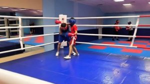 16.11.24г Радамир2015 24кг -Миша2013(35кг)(1,4р)-Юсиф2014(32кг)(2р)-Федор2015(27кг)(3р)