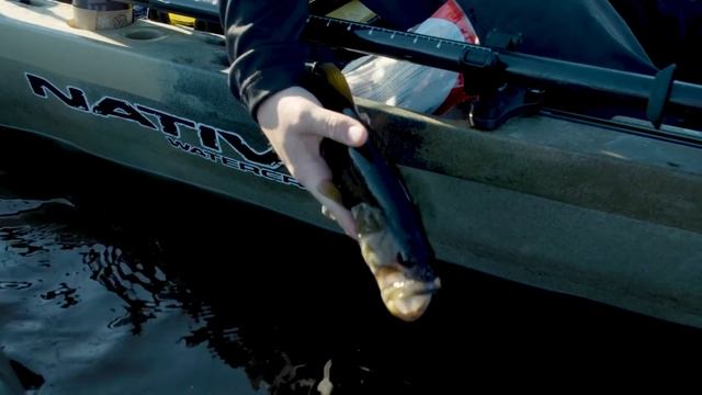 Kayak Bass Fishing | Native Slayer Max Propel 12.5 Walkthrough смотреть онлайн