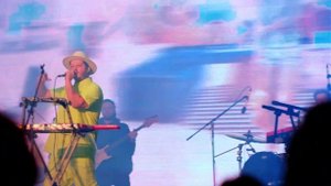 Меджикул - Импичмент