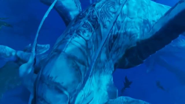 Tulkun Returning Home | AVATAR: The Way Of Water HD смотреть онлайн