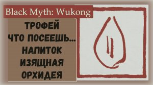 Black Myth Wukong. Трофей "Что посеешь..." Как получить напиток "Изящная орхидея"