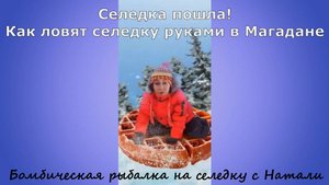 Селедка пошла! Как ловят селедку руками в Магадане. Бомбическая рыбалка на селедку от Натали.