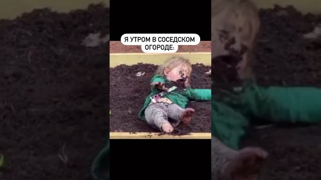 я на даче 🤣.mp4