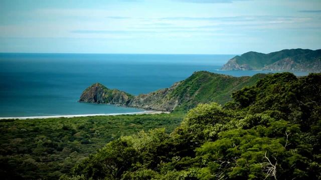 Share the happiness of Nature! смотреть онлайн