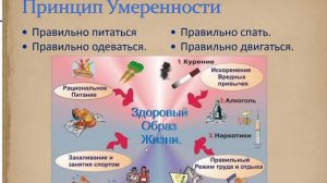 Основы диетологии, макробиотики и нутрицевтики. 1 урок