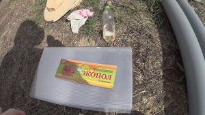 обработка пчёл от клеща полосками Экопол