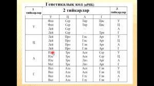 Генетикалық код, ҚҚ тилинде