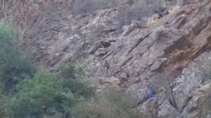 охота в горах на кеклика