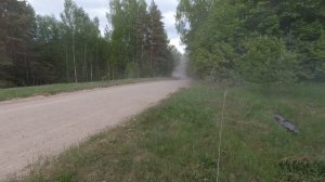 Ралли Псков 2023. СУ-2 "Козлы". Квасников/Баландин. Изольда