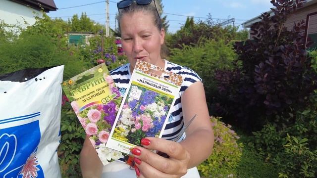 ЛЕТНИЙ ПОСЕВ КОЛОКОЛЬЧИКА В ГРУНТ - ЗАЧЕМ СЕЯТЬ КОЛОКОЛЬЧИК СРЕДНИЙ В ИЮЛЕ смотреть онлайн