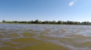 Поехали за судаком наловили сазана Рыбалка в Астрахани на закидушки