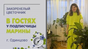 В гостях у Марины, г. Одинцово. Интереснейшая коллекция комнатных растений за 2 года. Вариегатные.