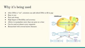 CRISPR-Cas9 Genetics Project