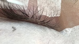 Макро работа , скорость в наращивание ресниц правда  или действие 🤹_♀️ Speed in eyelash extension