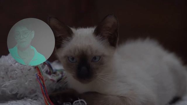 Новогоднее интервью 2023 Ирина Хакамада смотреть онлайн