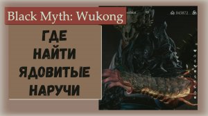 Black Myth Wukong. Как и где найти Ядовитые наручи