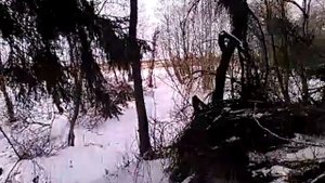 (((Повар плачет)))