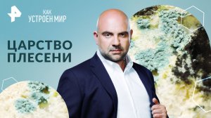 Царство плесени — Как устроен мир с Тимофеем Баженовым (02.08.2024)