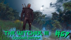 Особый ритуал | The Witcher 3 / Ведьмак 3 #067 [Прохождение] | Play GH