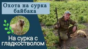 Охота на сурка байбака / На сурка с гладкостволом / Охота на сурка в Алтайском крае