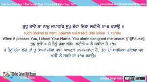 Sukh Tera Dita Lahiye / Bhai Sarabjit Singh Ji / Punjabi , English Lyrics & Meaning / Gurbani / 4k
