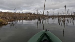 Водная прогулка по озеру и р. Упокой. Лебеди🦢