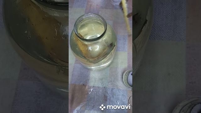 ЛУЧШЕЕ УДОБРЕНИЕ ИЗ ОТХОДОВ. ОГОРОД НА КУБАНИ. shorts# смотреть онлайн