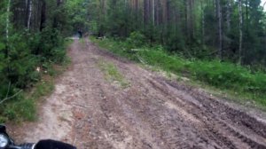 На мотоцикле в бор ,за грибами.