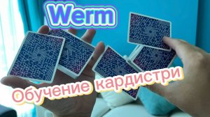 Обучение кардистри для начинающих (werm cardistry tutorial )