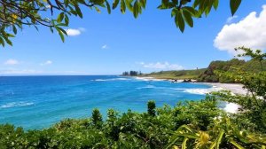 Aloha Maui： 3 Hours of Soothing Relaxation From Hawaiian Islands