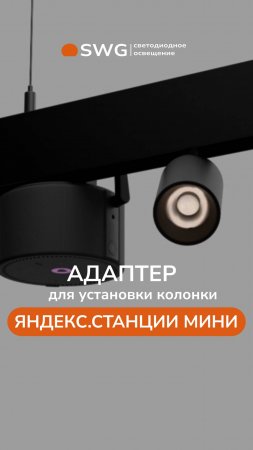 Адаптер для установки колонки в трековую систему