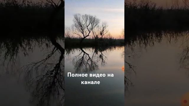 Рыбалка в Астрахани #рыбалкавастрахани #рыбалка #fishing