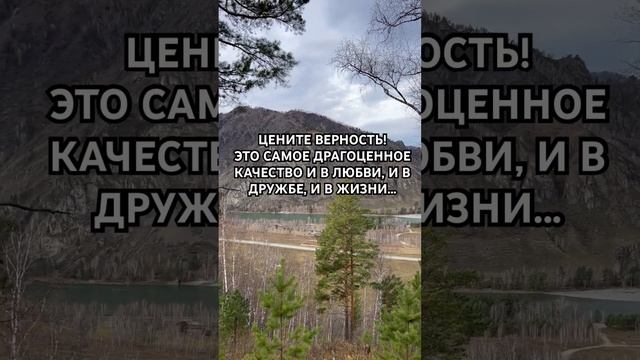 #цитатысосмыслом #цитатадня #цитаты #цитатыожизни #мудрыецитаты #мудрыеслова #словасосмыслом #стату