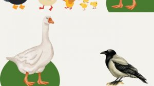 Звуки [Г] та [ґ]. Букви Г, ґ