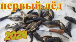 Первый лёд 2024_2025 Ротан в Челябинской области.