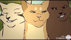 Песчаная буря и огнезвёзд  .Ах, эта прекрасная кошачья жизнь