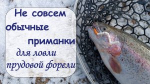Не совсем обычные приманки для ловли форели