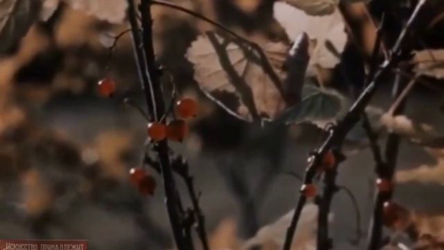 Красота и богатства Тывы. (1976) смотреть онлайн