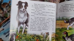 Книги И. В. Гуриной, познаем мир вокруг нас