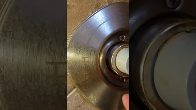 Delta Nura shower temperature adjustment (Series 13/14) смотреть онлайн