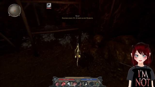 Прохождение divinity 2 developers cut. Прохождение divinity 2 developers cut
