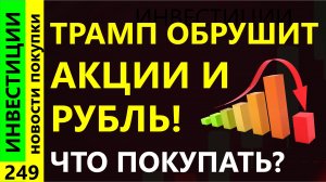 Какие акции покупать в ноябре? Сбербанк Яндекс Курс доллара Элемент Дивиденды инвестиции трейдинг