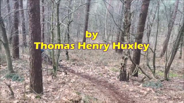 Daily Success Quote October 25 | Motivational Quotes for Success in Life by Thomas Henry Huxley