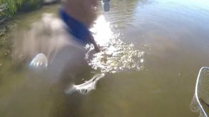 РЫБАЛКА НА САЗАНА С НОЧЕВКОЙ Ловля на жмых в Астрахани поставушками